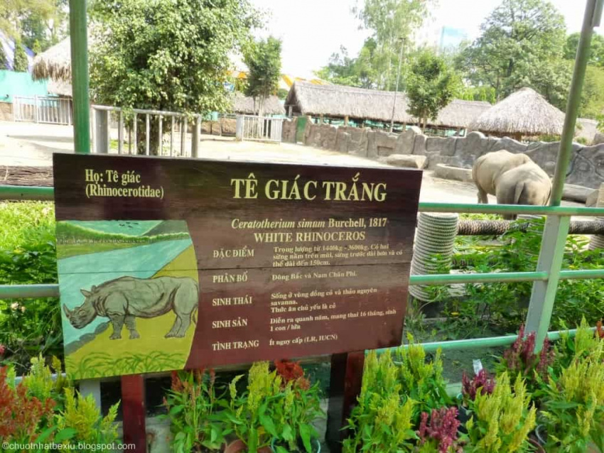 Thảo Cầm Viên có gì chơi ? Cùng “du hí” ở công viên thành phố Hồ Chí Minh