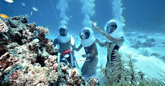 kinh nghiệm lặn biển ngắm san hô phú quốc an toàn và thú vị nhất