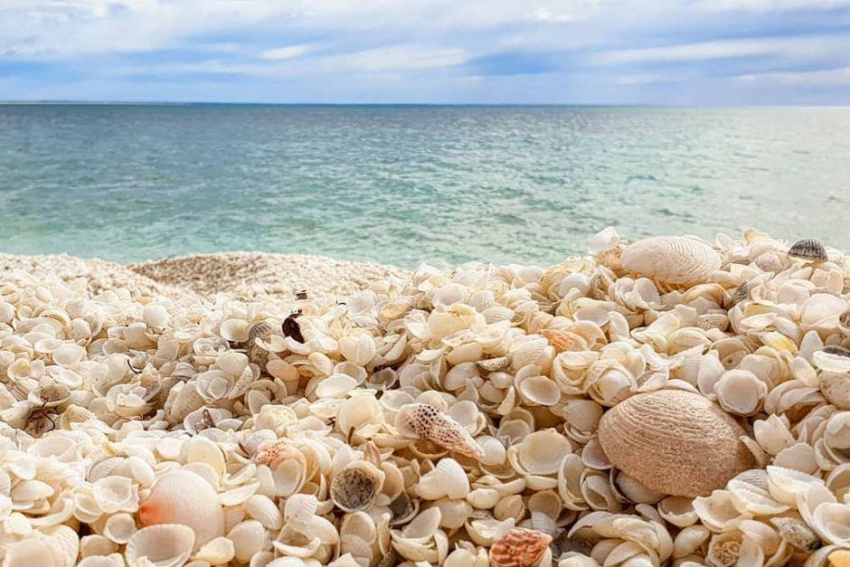 du lịch australia, điểm đến australia, shell beach, bãi biển vỏ sò độc đáo nổi danh thế giới ở australia