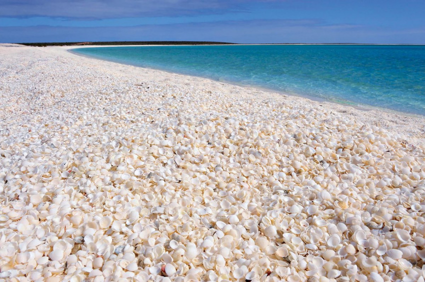 du lịch australia, điểm đến australia, shell beach, bãi biển vỏ sò độc đáo nổi danh thế giới ở australia