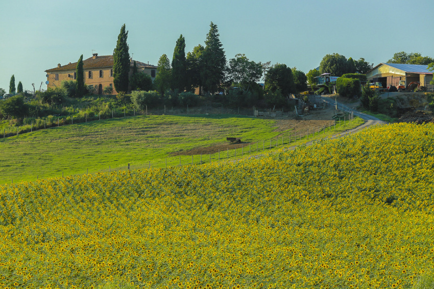 Ghé thăm Tuscany – vùng đất khiến bao du khách phải say đắm
