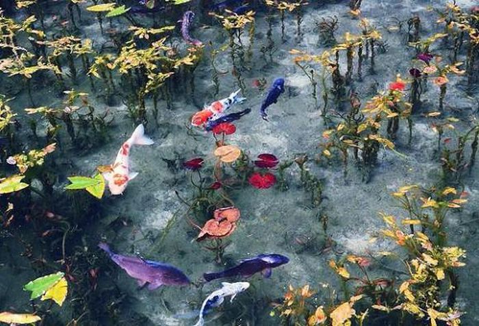Mê mẩn khung cảnh đẹp như tranh vẽ ở hồ Namonaki, Nhật Bản
