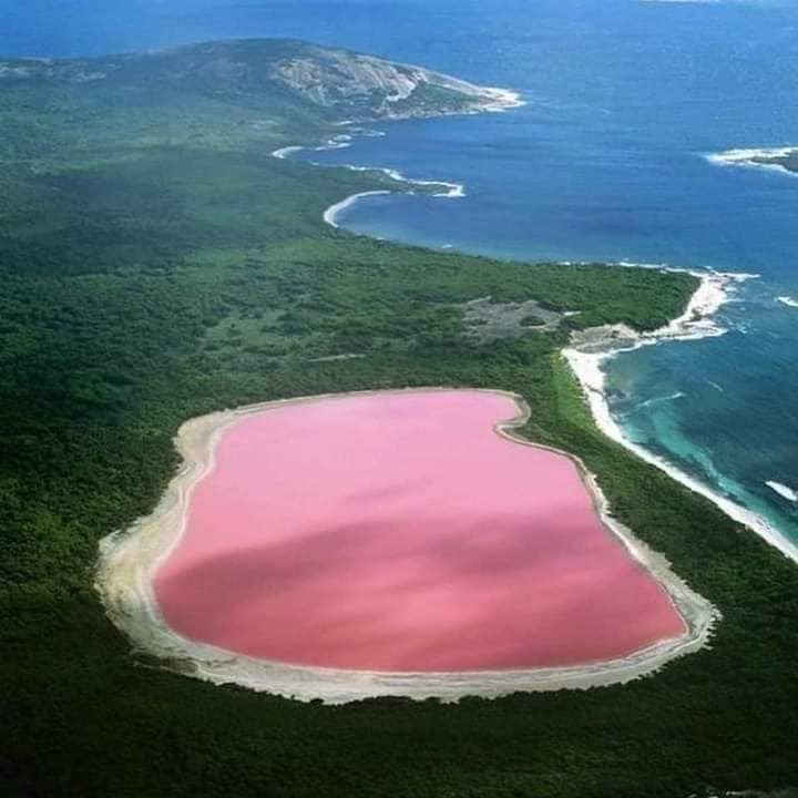 Bí ẩn hồ nước hồng độc đáo ở Australia