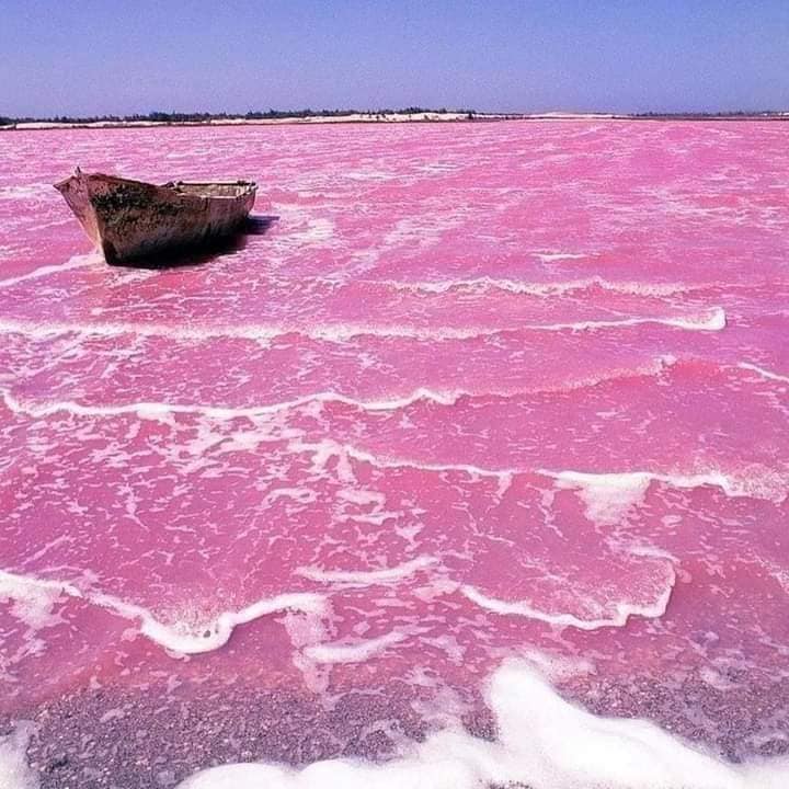 australia, cảnh đẹp australia, du lịch australia, hồ hillier, hồ nước hồng, bí ẩn hồ nước hồng độc đáo ở australia