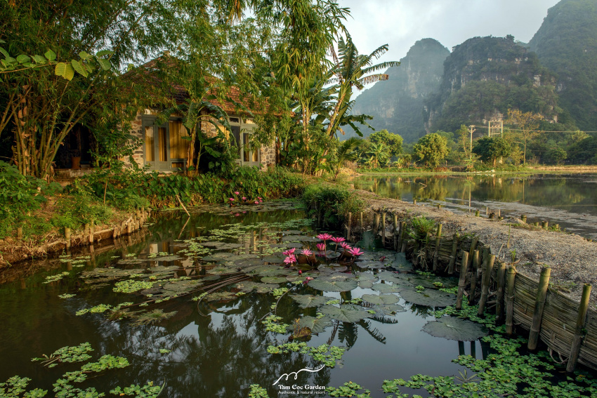 aravinda ninh bình, ninh bình hidden charm, resort ninh bình, gợi ý top 4 resort ninh bình view siêu mê cho chuyến nghỉ dưỡng của bạn