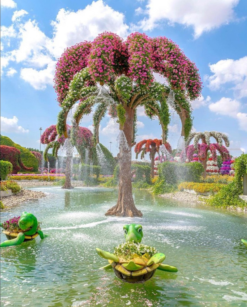 du lịch dubai, dubai miracle garden, khám phá dubai, vườn hoa đẹp, những con số ‘khủng’ ở khu vườn kì diệu tại dubai