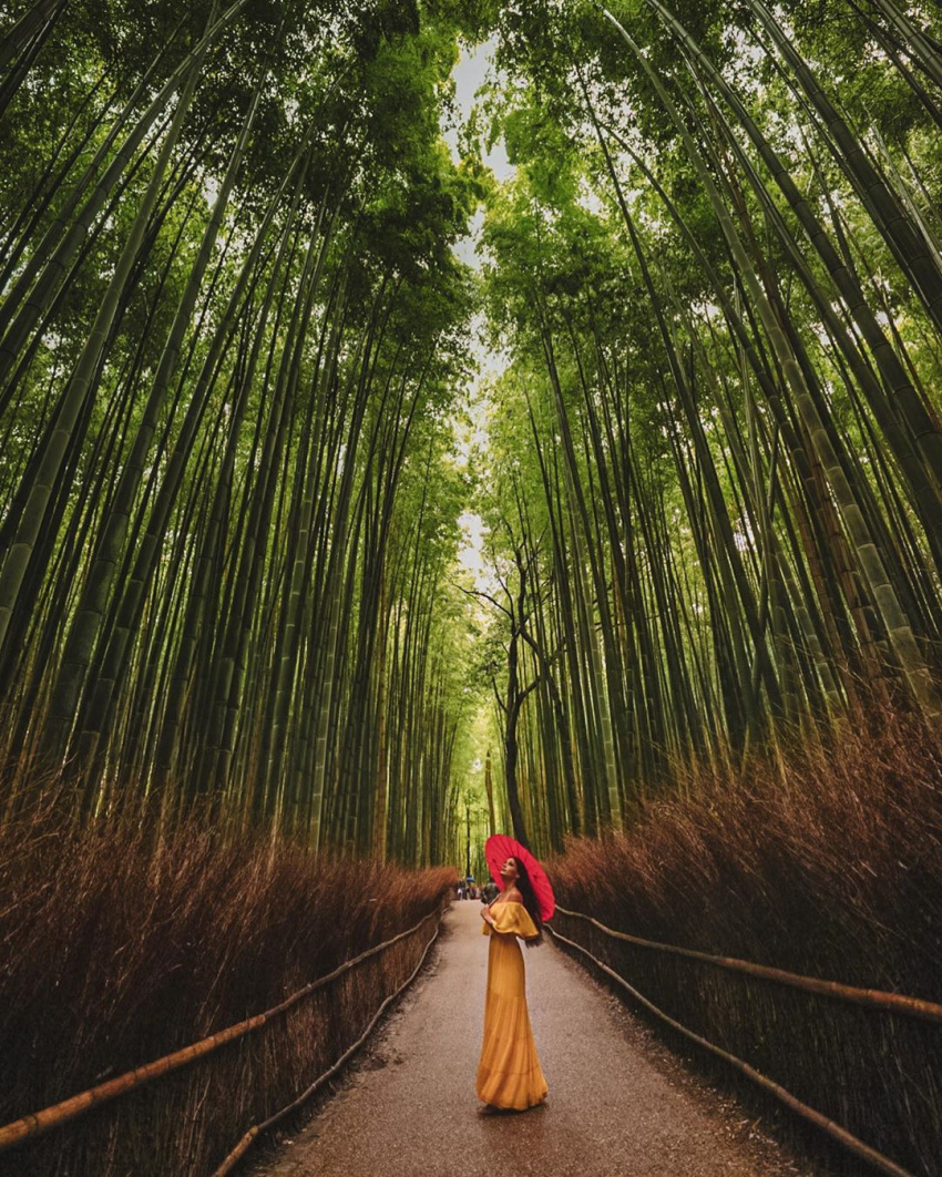 rừng tre arashiyama, tour nhat ban gia re, con đường xuyên rừng tre arashiyama đẹp như tranh ở nhật bản