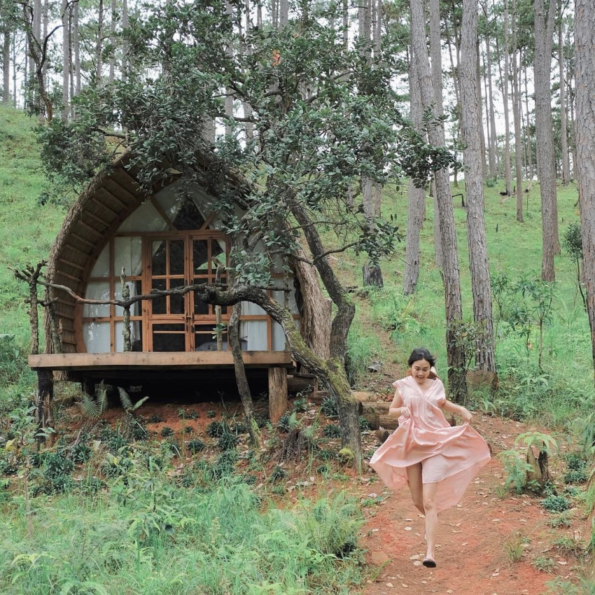 Andante Farm & Lodge – Homestay thơ mộng giữa núi rừng Đà Lạt