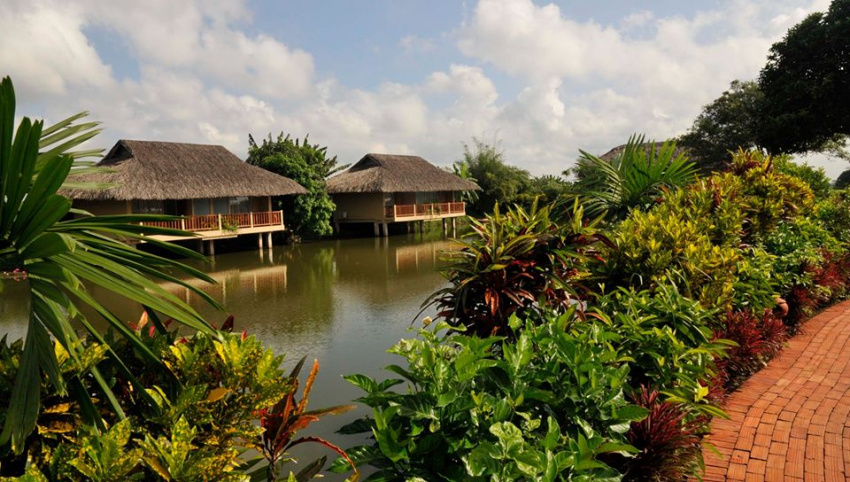 mekong lodge resort, resort tiền giang, tiền giang, cuối tuần đổi gió ở 2 resort bên sông sang chảnh ở tiền giang