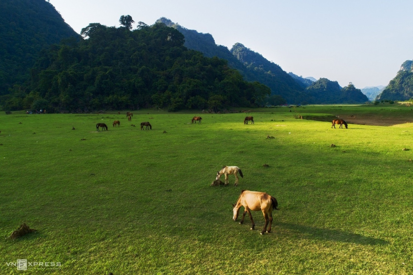 thảo nguyên, trên thảo nguyên lạng sơn