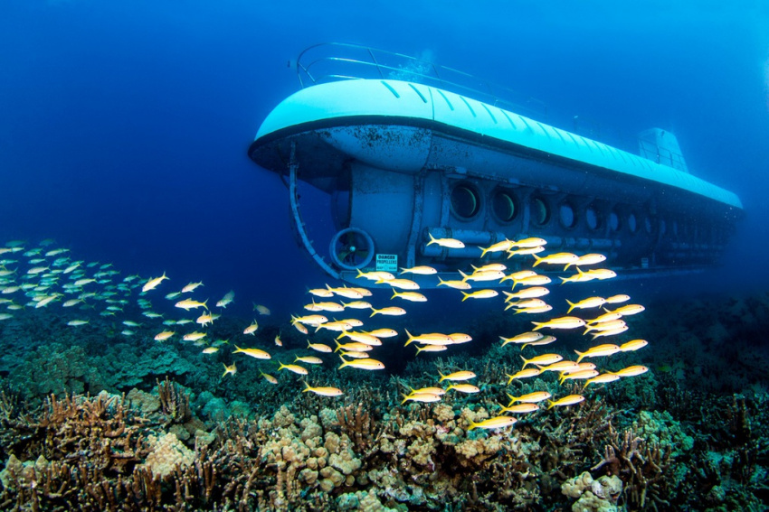 du lịch maldives, tàu ngầm ở jeju, tàu ngầm ở maldives, lặn biển bằng tàu ngầm ở maldives, jeju có gì hấp dẫn?