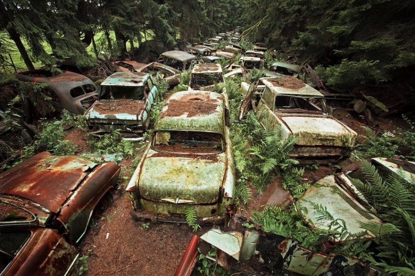 old car city, những nghĩa địa xe hơi ẩn mình trong rừng rậm hút khách