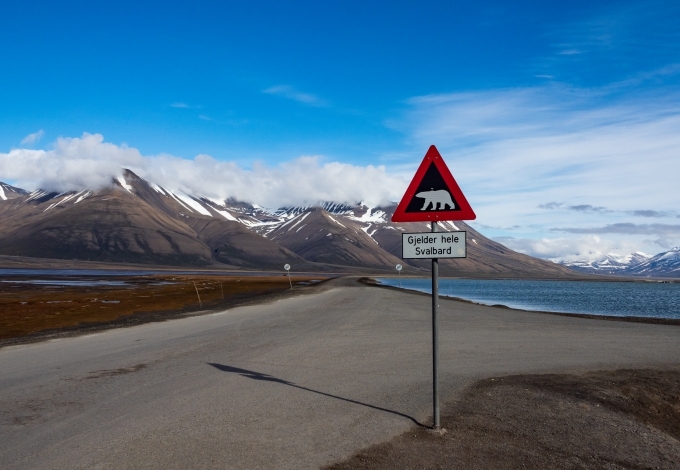 du lịch na uy, longyearbyen, thị trấn longyearbyen, thị trấn nơi du khách phải mang súng khi ra ngoài
