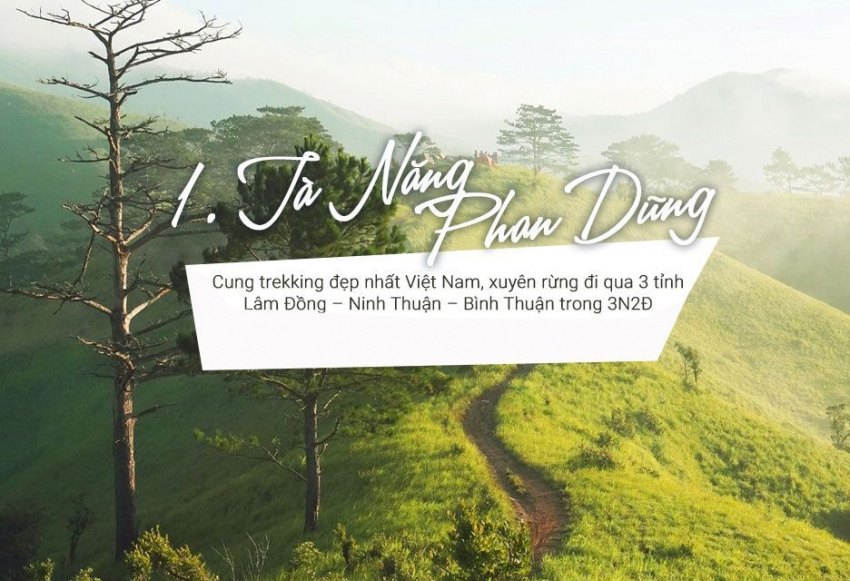 Kinh nghiệm Trekking rừng Tà Năng – Phan Dũng tháng 2/2022