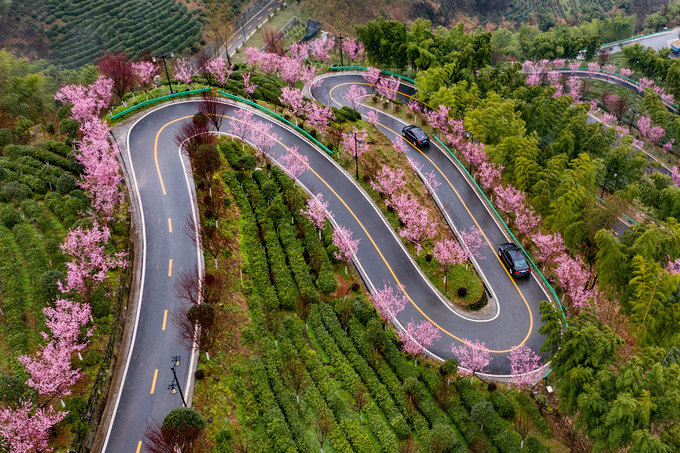 Mùa hoa đến sớm ở Trung Quốc