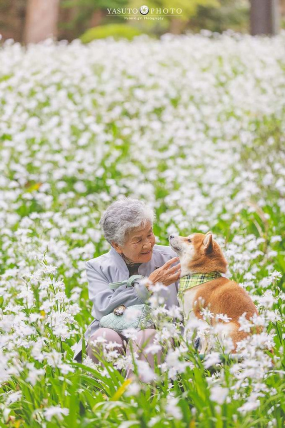 du lịch gia đình, nhật bản, chàng trai đưa bà ngoại đi ngắm hoa bốn mùa