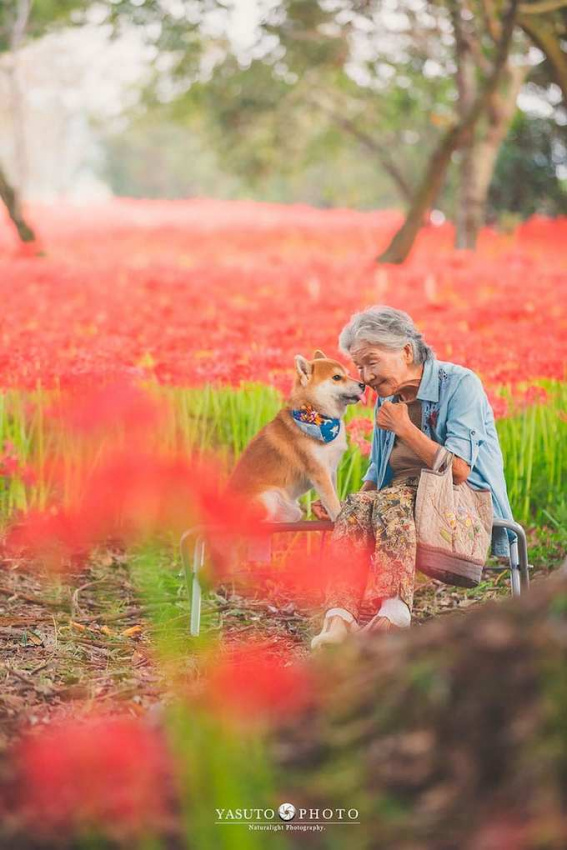 du lịch gia đình, nhật bản, chàng trai đưa bà ngoại đi ngắm hoa bốn mùa