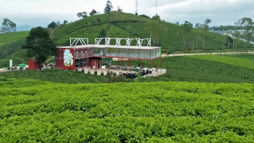 du lịch đà lạt, tây nguyên, 20 quán cà phê đà lạt chưa đến đã tan chảy mọi con tim