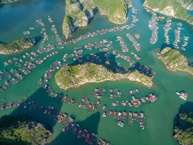 Du lịch đảo Cát Bà 2022 kèm bảng giá Homestay mới nhất