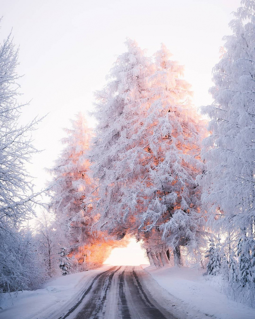 Băng qua đại lộ dẫn tới thiên đường mùa đông