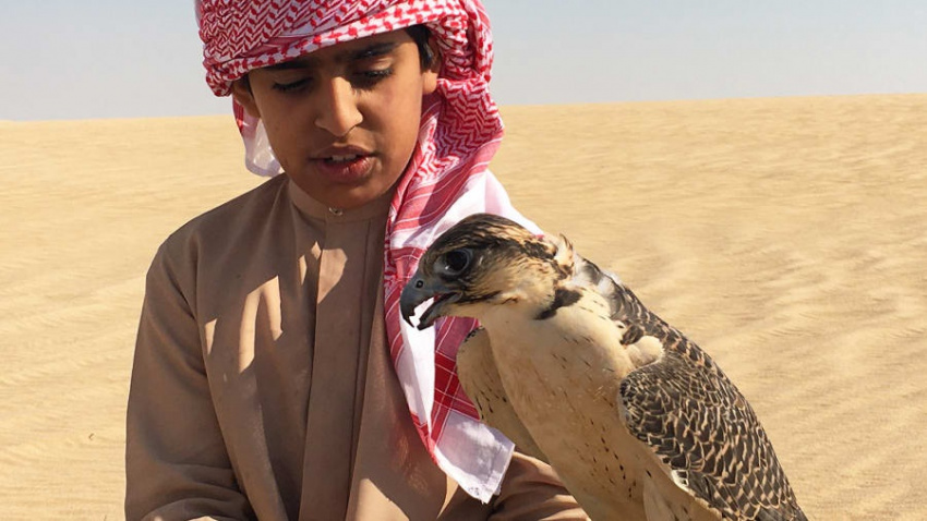 Di sản săn bắt bằng chim ưng trên sa mạc ở UAE