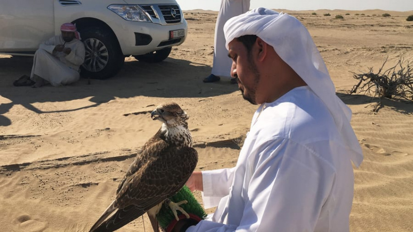 abu dhabi, al marzoom, du lịch dubai, du lịch uae, kinh nghiệm đi uae, di sản săn bắt bằng chim ưng trên sa mạc ở uae