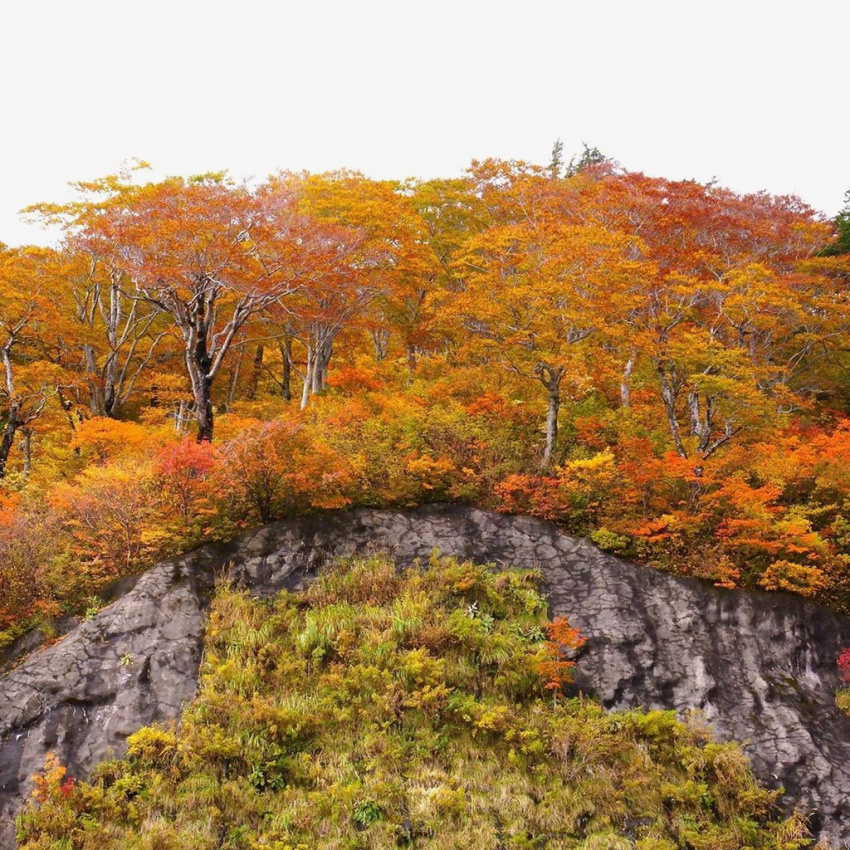 cung đường hakusan shirakawa-go, du lịch kyoto, du lịch tokyo, hakusan shirakawa-go, nhật bản, núi lửa hakusan, băng qua ngọn núi lửa thiêng ở nhật bản vào mùa thu