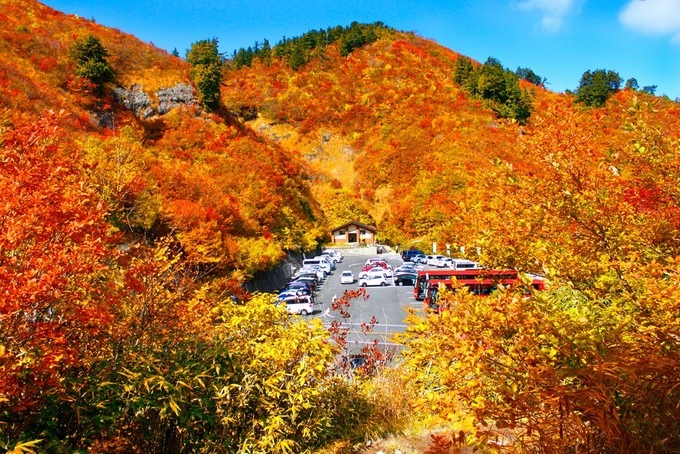 cung đường mùa thu, du lịch kyoto, du lịch tokyo, hakusan shirakawa-go, nhật bản, cung đường mùa thu chỉ cho xe chạy ban ngày