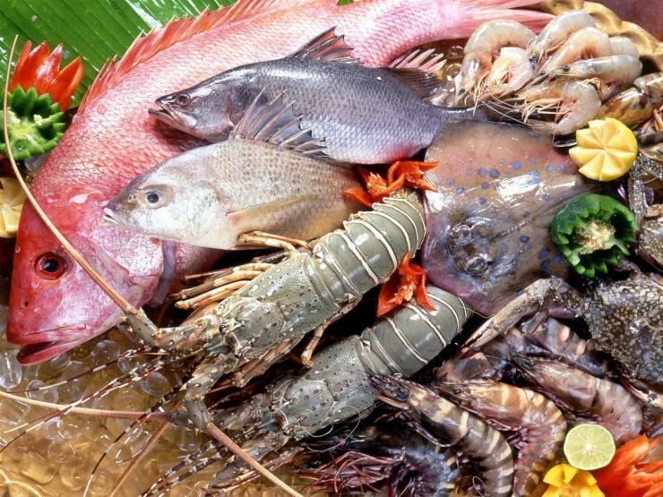 Thưởng thức các món hải sản khi du lịch Phan Thiết