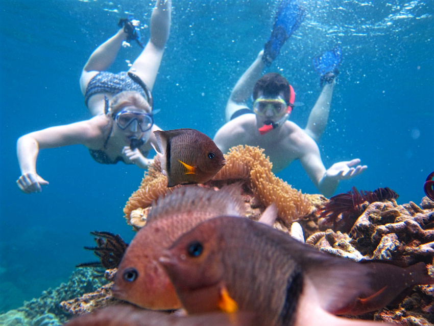 du lịch nha trang, hòn mun, resort nha trang, tour nha trang, tour nha trang 1 ngày, trải nghiệm lặn ngắm san hô ở hòn mun chỉ với 450.000 đồng/khách