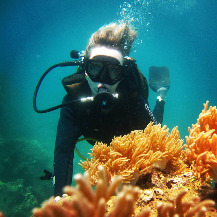 du lịch nha trang, hòn mun, resort nha trang, tour nha trang, tour nha trang 1 ngày, trải nghiệm lặn ngắm san hô ở hòn mun chỉ với 450.000 đồng/khách