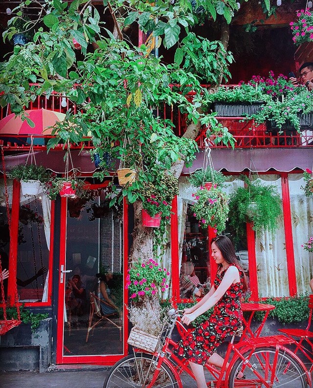 Top quán cà phê ngắm hoa đẹp ở Sài Gòn cho team “bánh bèo”