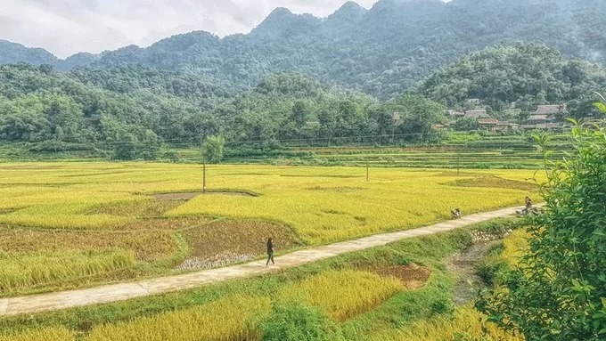 khach san thanh hoa, pù luông retreat, resort thanh hóa, pù luông – nơi mây đi ngang thung lũng lúa