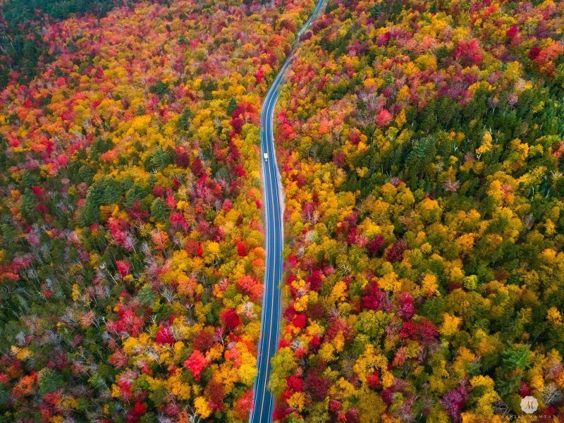Review những con đường đẹp nhất thế giới vào mùa thu