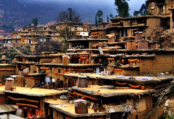 làng chengzi, kỳ lạ ngôi làng có hơn 800 ngôi nhà thông liền nhau