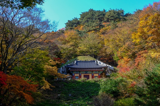 cố đô gyeongju, du lịch gyeongju, hàn quốc, 6 điểm tham quan ở cố đô hàn quốc