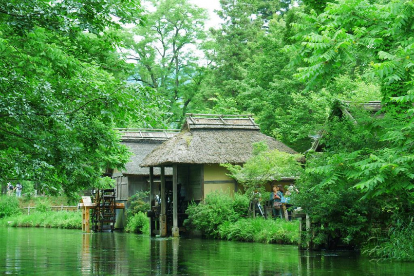 Sống đời thoát tục giữa vùng đất đẹp tựa tiên cảnh ở Nhật Bản