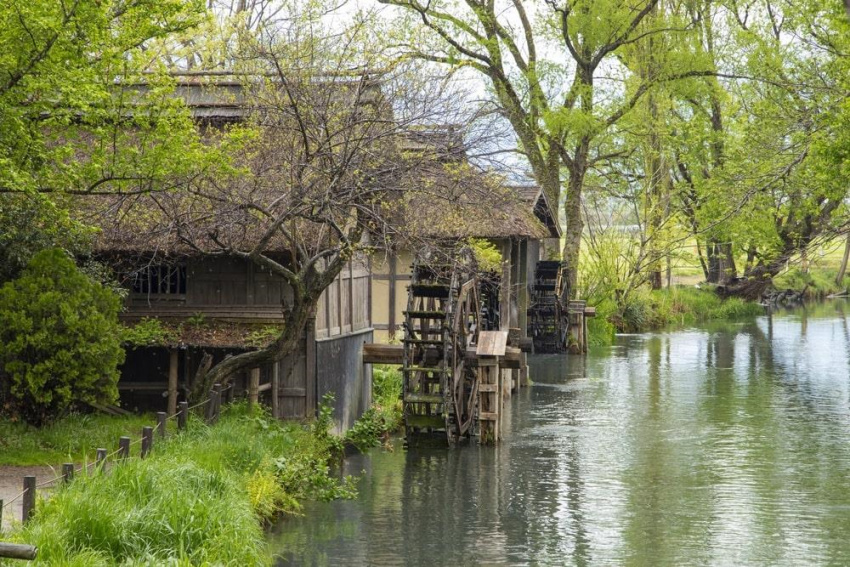 du lịch kyoto, du lịch tokyo, khách sạn tokyo, tham quan tokyo, trang trại daio wasabi, sống đời thoát tục giữa vùng đất đẹp tựa tiên cảnh ở nhật bản