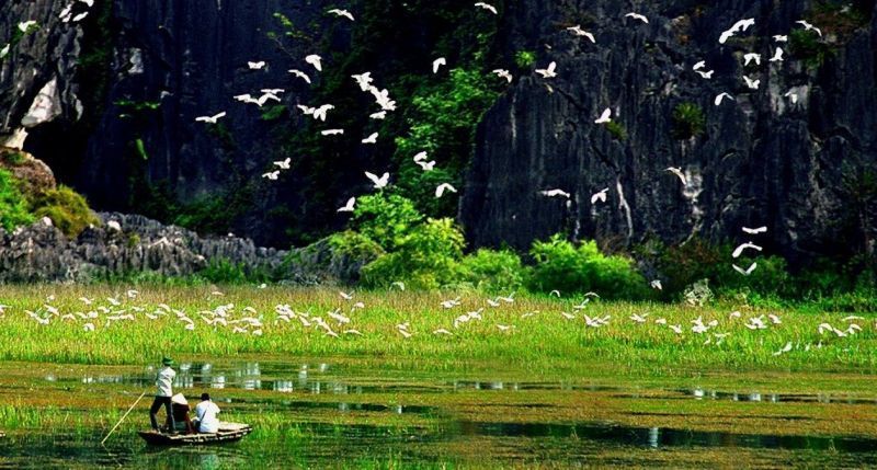 Review 12 Địa điểm du lịch Ninh Bình hấp dẫn nhất năm 2022