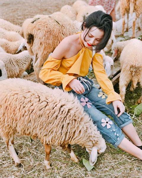 Đến đồng cừu Ninh Thuận để có bộ ảnh trên thảo nguyên độc lạ