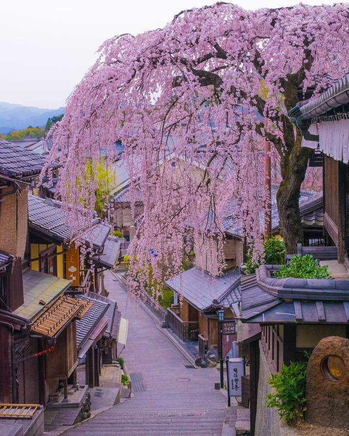 cố đô nhật bản, du lịch kyoto, du lịch tokyo, khách sạn tokyo, tham quan tokyo, góc phố đẹp như thơ ở kyoto