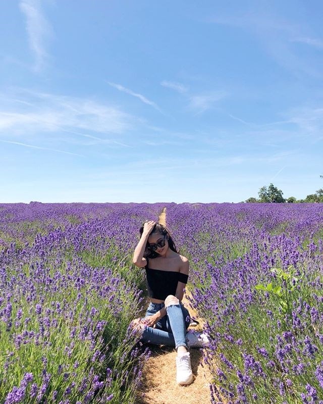 Hè này lên Đà Lạt check-in khu vườn hoa lavender đẹp quên lối về