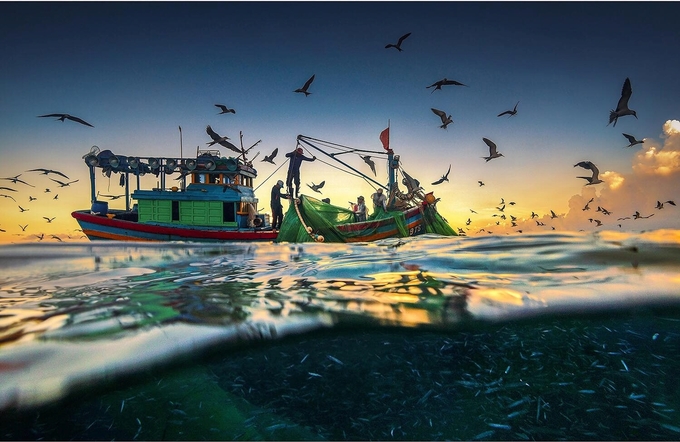 Hành trình ‘săn’ ảnh mùa cá cơm ở Phú Yên