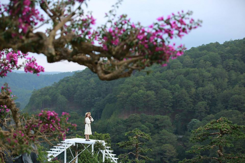 QUE Garden, tiểu Nhật Bản đẹp ngẩn ngơ giữa lòng Đà Lạt