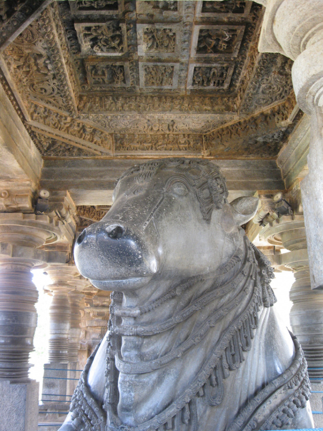 ấn độ, du lịch ấn độ, thăm quan ấn độ, đền hoysaleswara, đền hoysaleswara ấn độ, ngôi đền 900 tuổi ở ấn độ tinh xảo như chế tác từ máy móc