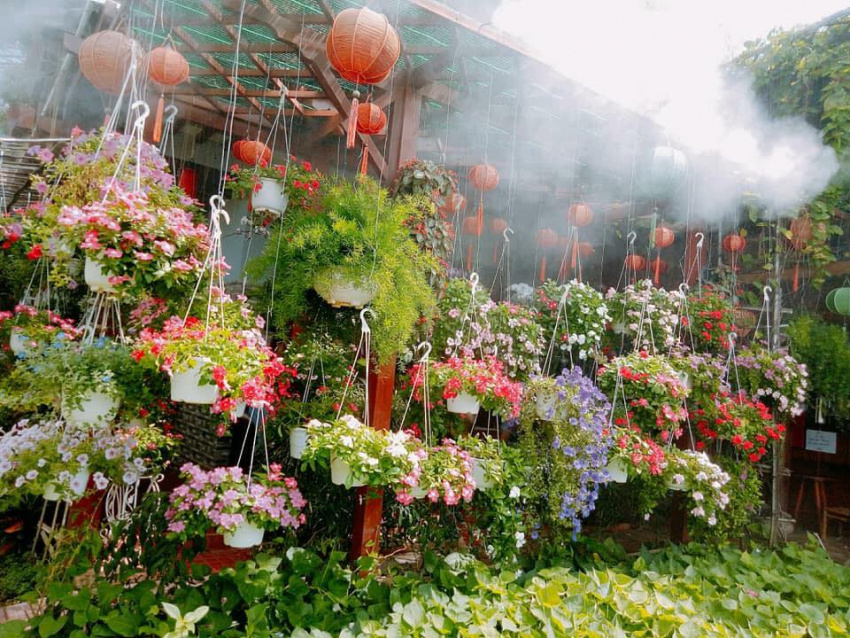 kha my cafe, lạc bước đến kha my cafe quán “vườn hoa treo” đẹp bất ngờ ở hội an