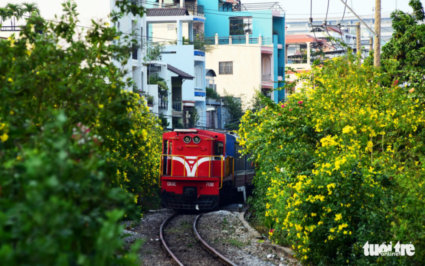 Hoa huỳnh liên rợp bóng đường ray xe lửa chiều Sài Gòn