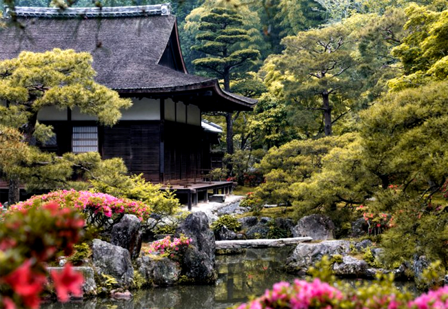 Hãy quên Tokyo đi, Nhật Bản còn vô số điểm đến tuyệt đẹp