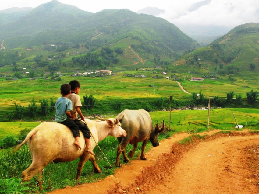 địa điểm du lịch, kinh nghiệm du lịch bản tả phìn sapa: đường đi, chi phí, đồ chuẩn bị