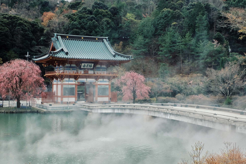 Ghé Nhật Bản thăm ngôi chùa chứa hàng nghìn búp bê Daruma